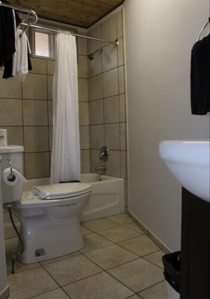 Deluxe Double & Twin Room (Downstairs) photo 3
