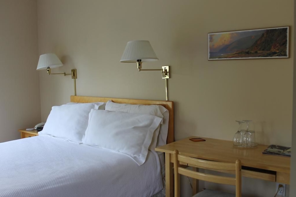 Room, 1 Queen Bed photo 2