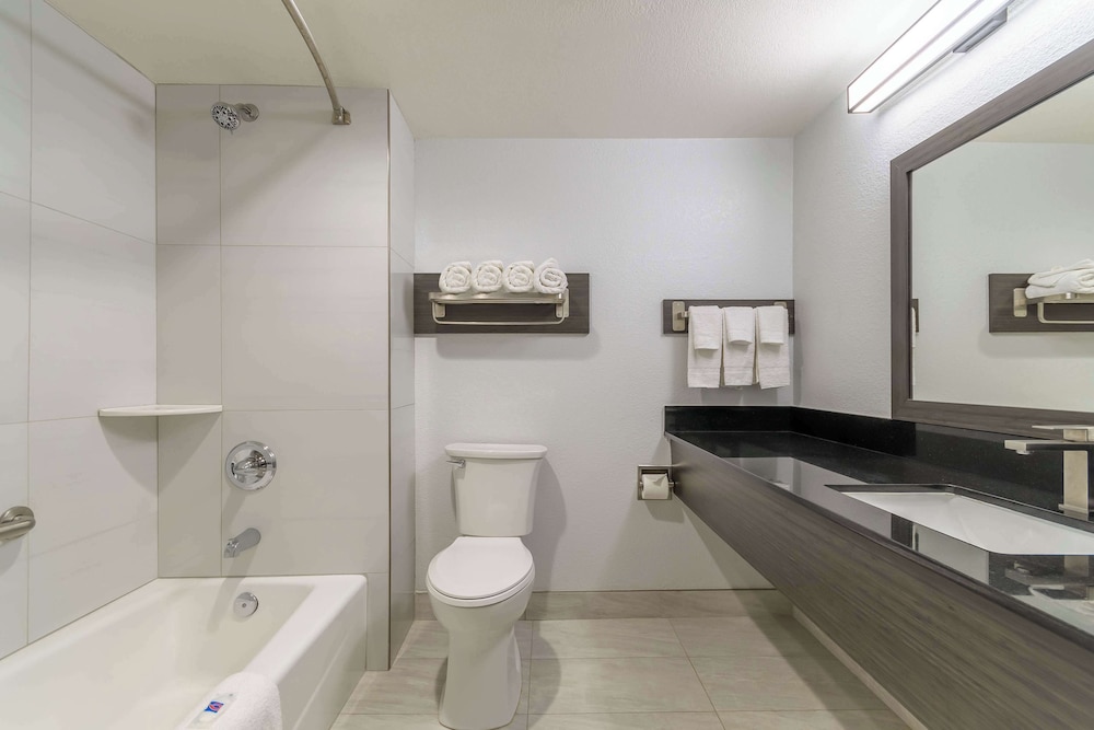 Standard Suite, 1 King Bed, Accessible, Non Smoking - Photo 8