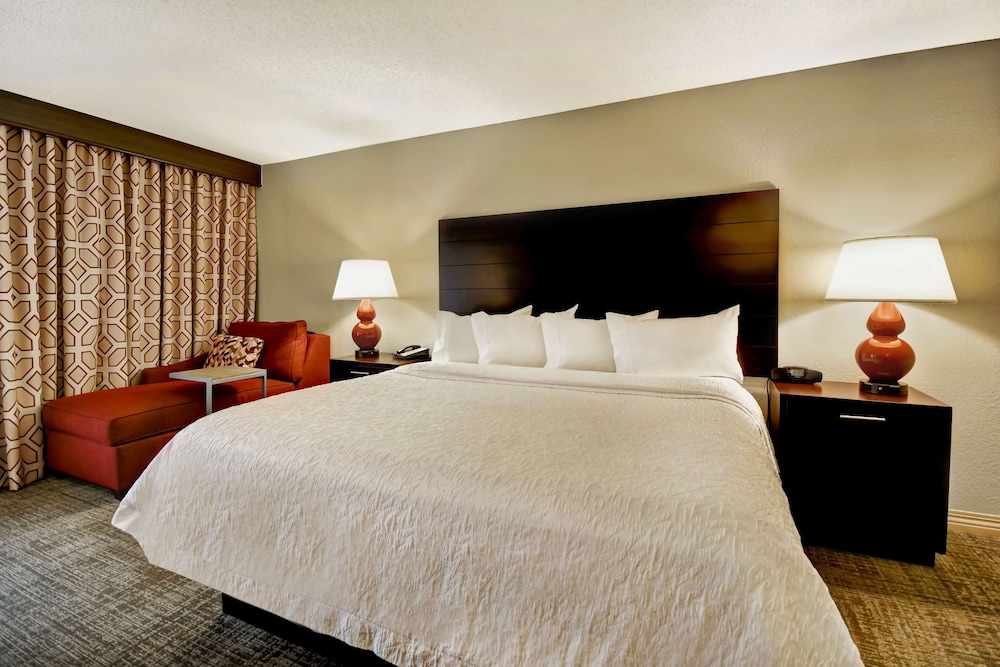 Room, 1 King Bed, Accessible, Non Smoking (Roll-In Shower) - Photo 3