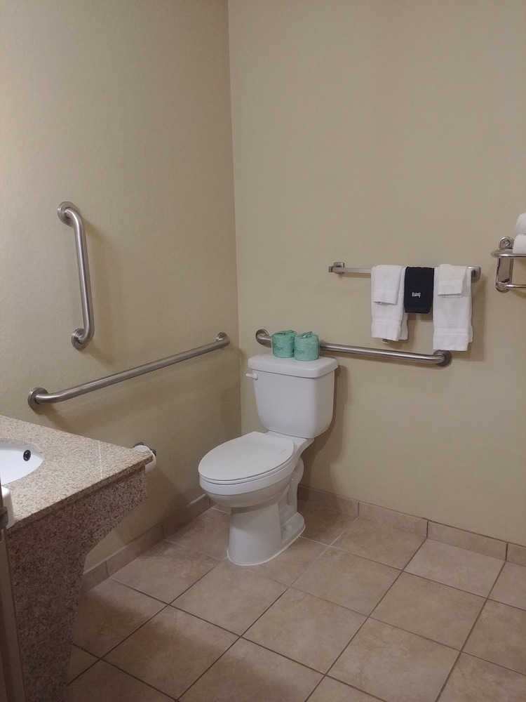 Room, 1 King Bed, Accessible, Non Smoking photo 2