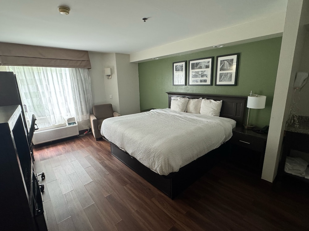 Standard Room, 1 King Bed photo 1