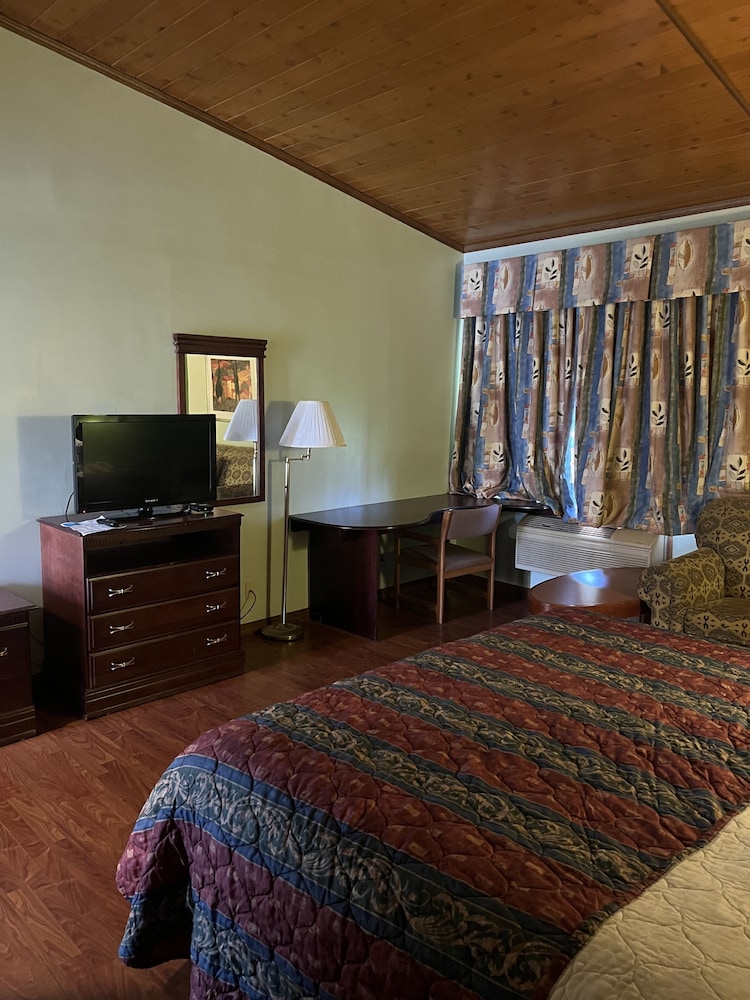 Standard Single Room photo 3