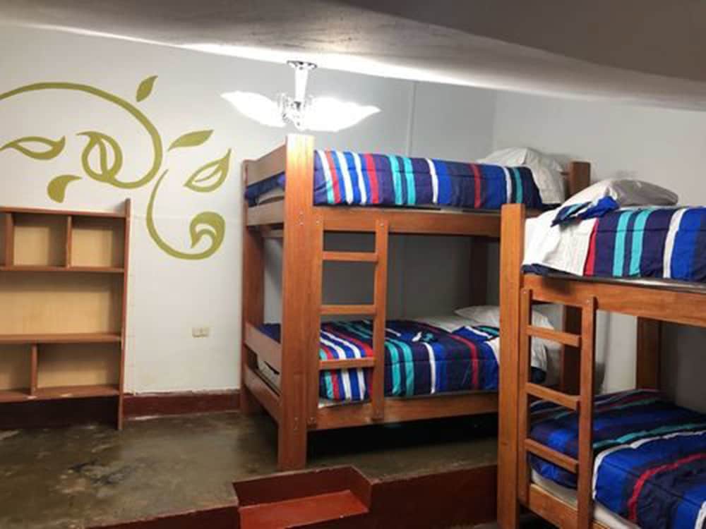 Shared Dormitory, Mixed Dorm (8 PAX) photo 2