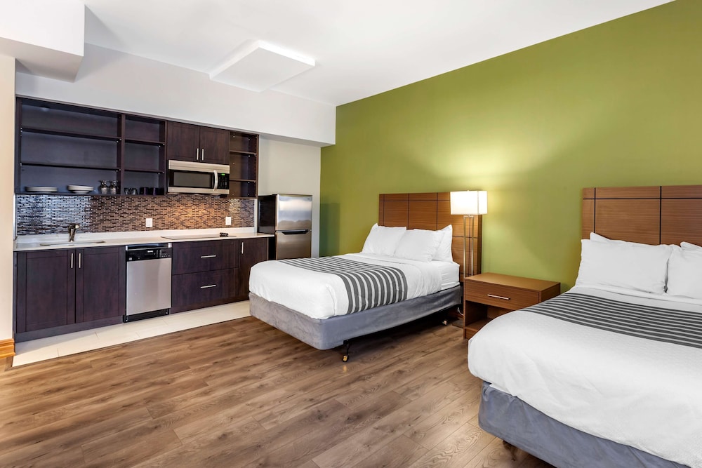 Standard Room, 2 Double Beds, Non Smoking, Kitchen photo 2