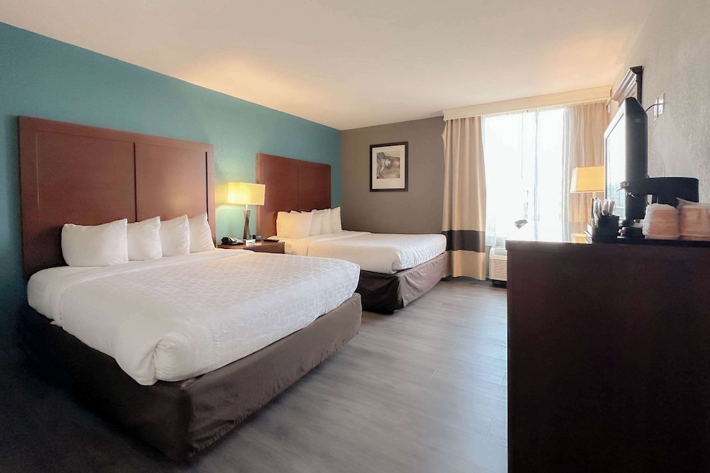 Premium Room, Multiple Beds, Non Smoking