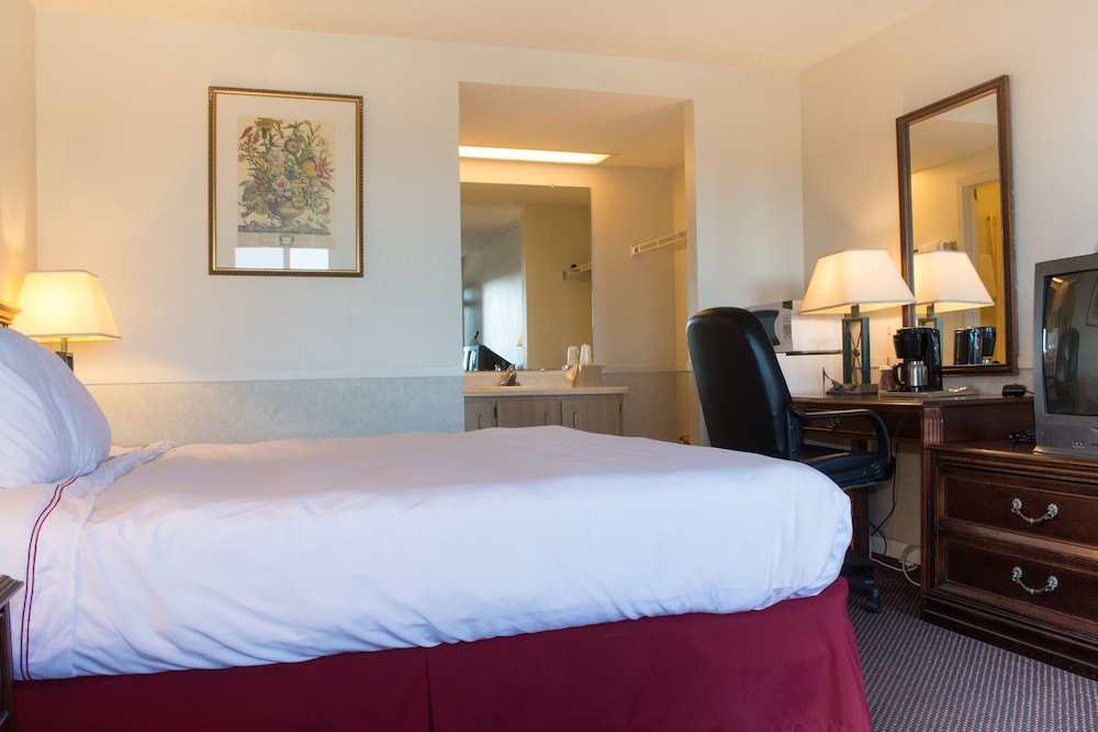 Standard Room, 1 King Bed, Lake View - Photo 2