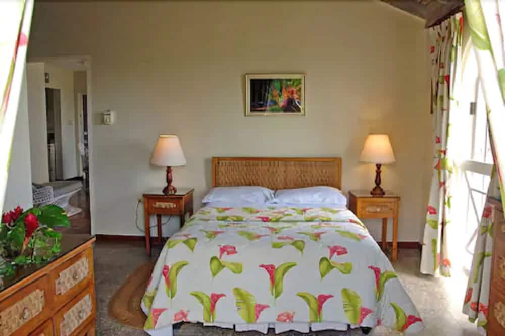 One Bedroom Apartment