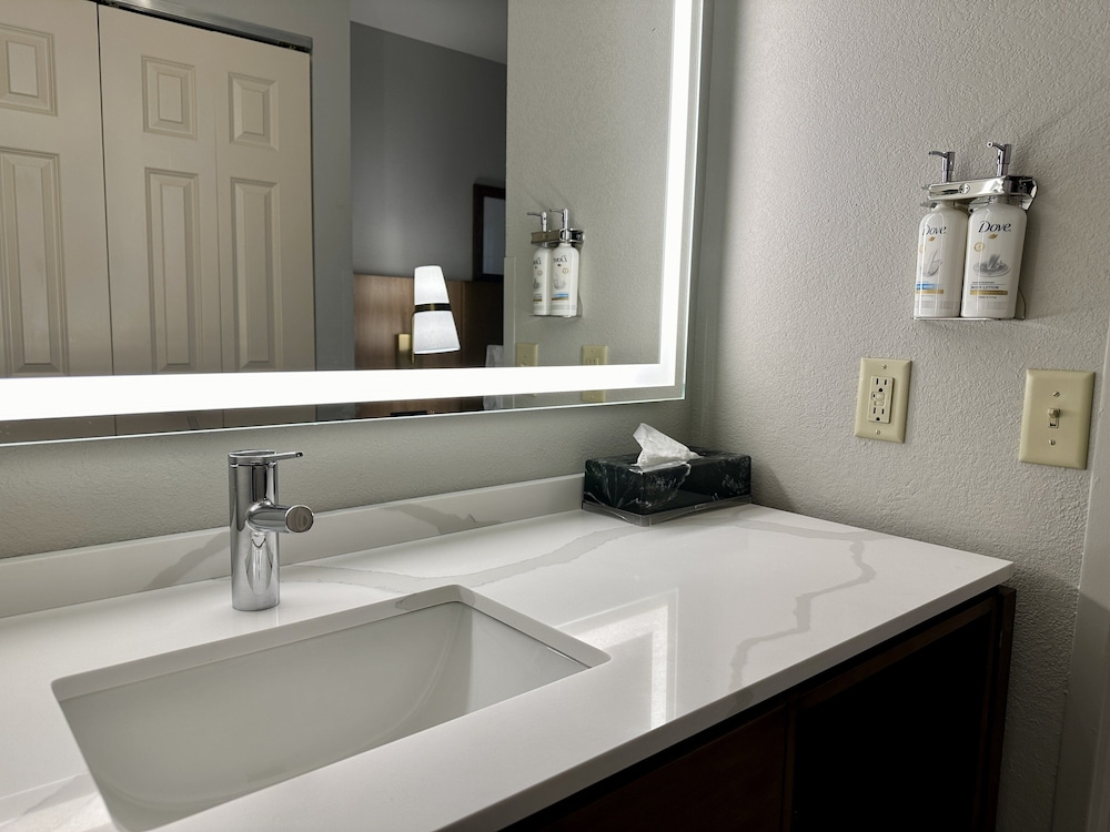 Suite, 1 Bedroom, Accessible, Kitchen (Communications, Mobility) - Photo 3