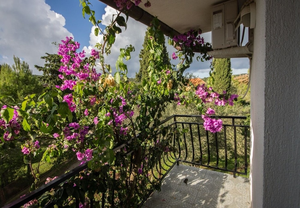 Apartment (Daju - 3 colours - A3 narančasti(2)) photo 2