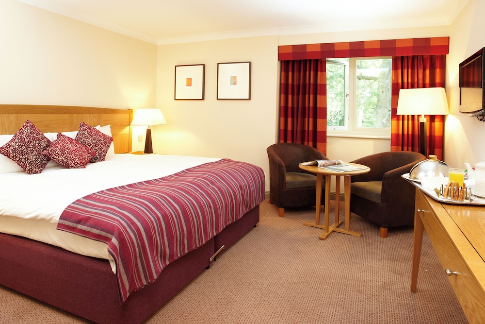 Executive Double or Twin Room, 1 King Bed photo 1
