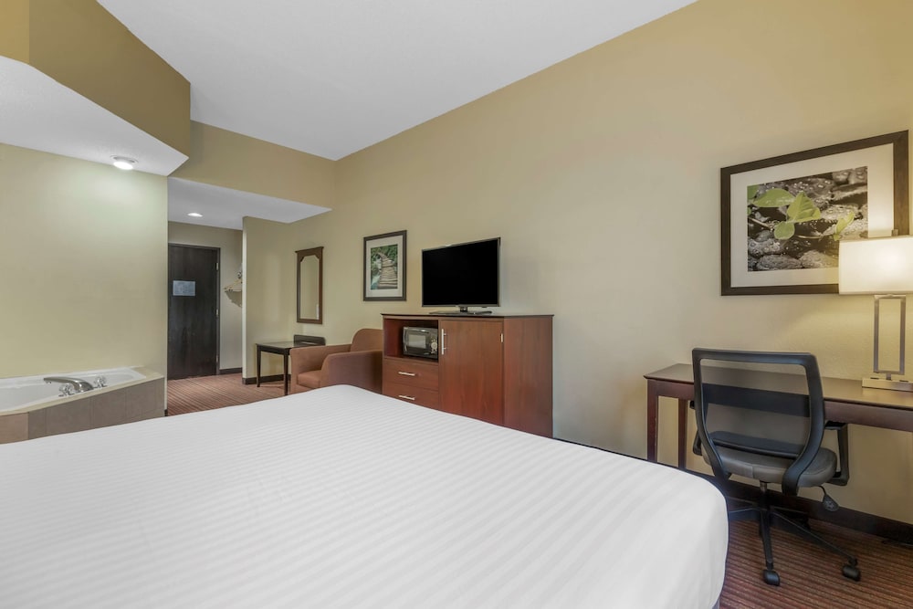 Standard Room, 1 King Bed, Non Smoking, Jetted Tub photo 3