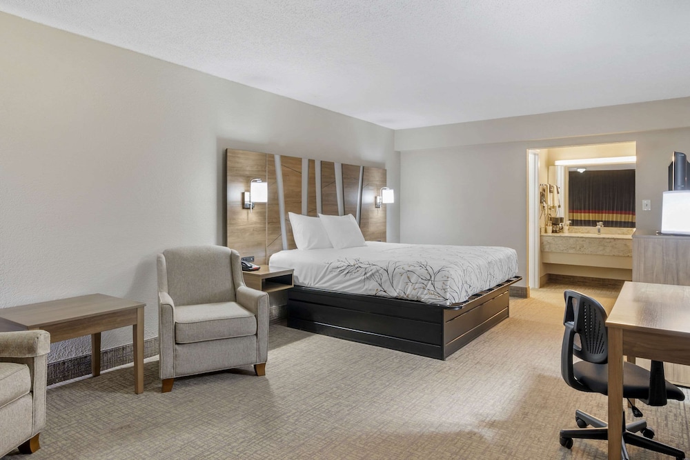 Standard Room, 1 King Bed, Non Smoking, Poolside - Photo 2