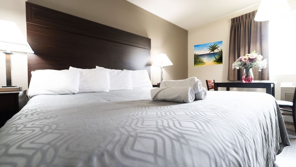 Comfort Single Room photo 2