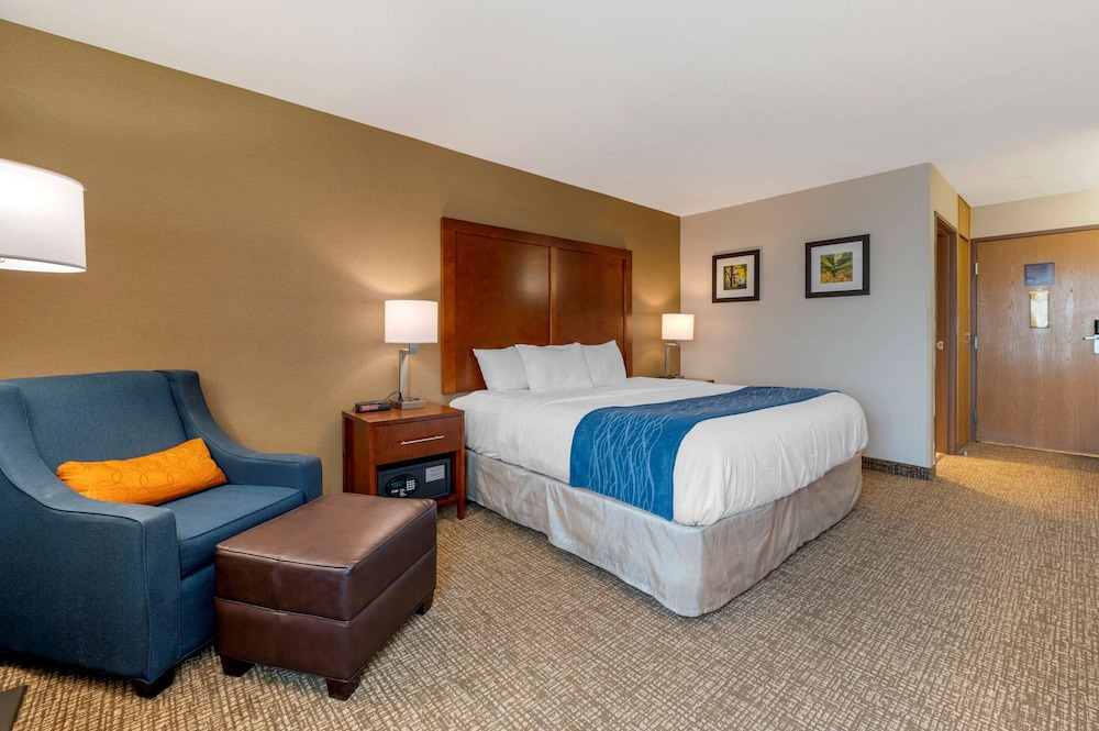 Suite, 1 King Bed with Sofa bed, Accessible, Non Smoking (Efficiency) - Photo 2