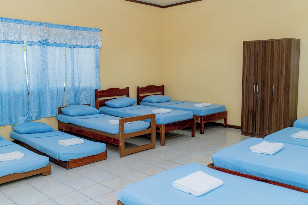 Shared Dormitory photo 1