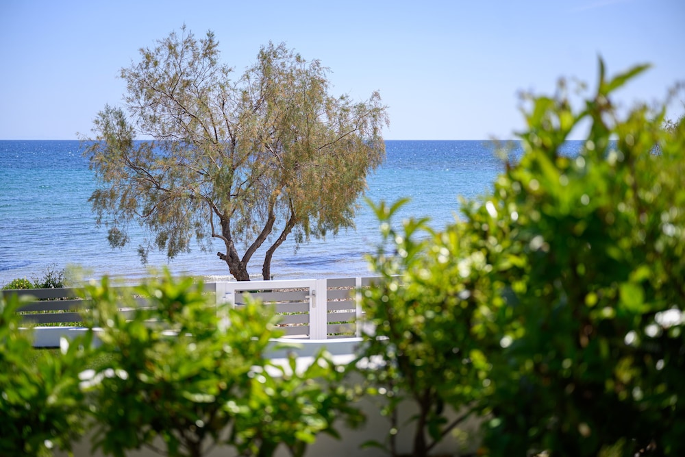 Studio, Sea View (3, with terrace) photo 2