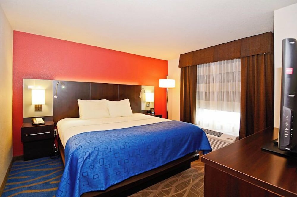 Suite, 1 Bedroom, Kitchen photo 3