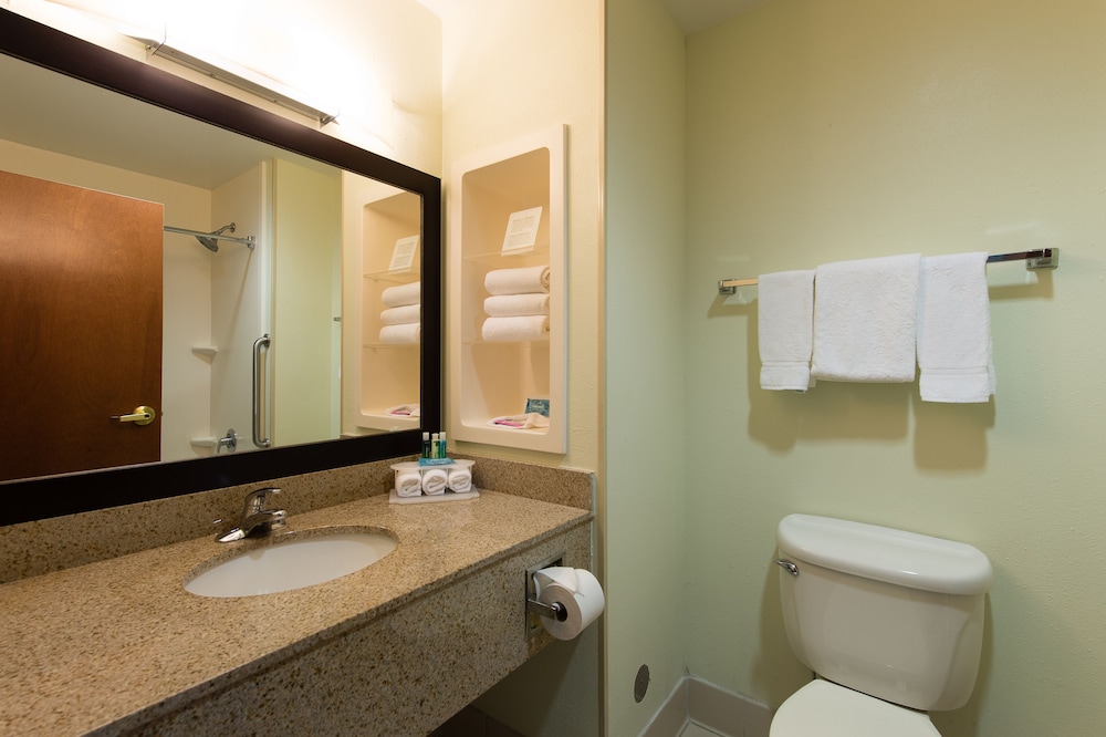 Standard Room, 1 King Bed, Accessible (Comm, Tub) - Photo 10