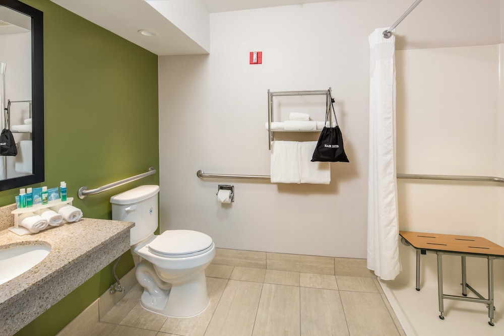 Standard Room, 1 King Bed, Accessible (Communications, Roll In Shower) - Photo 4
