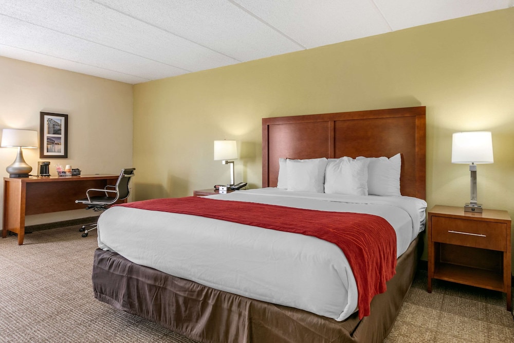 Suite, 1 King Bed With Sofa Bed, Non Smoking (Living Room)