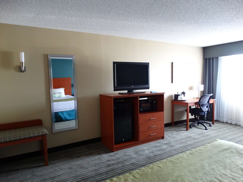 Standard Room, 1 King Bed, Accessible, Refrigerator & Microwave (with Sofabed) - Photo 2