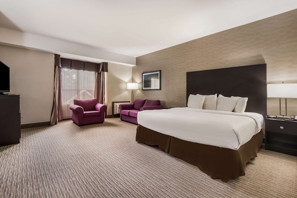 Business Room, 1 King Bed, Non Smoking, Refrigerator photo 1