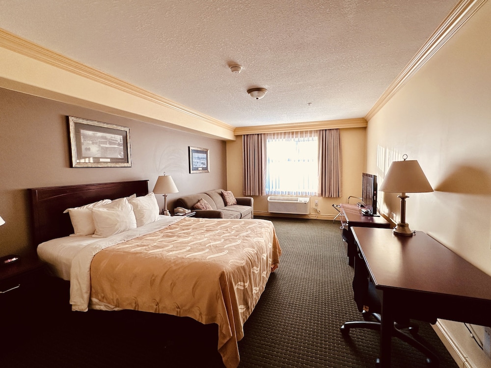 Room, 1 Queen Bed with Sofa bed, Non Smoking photo 1