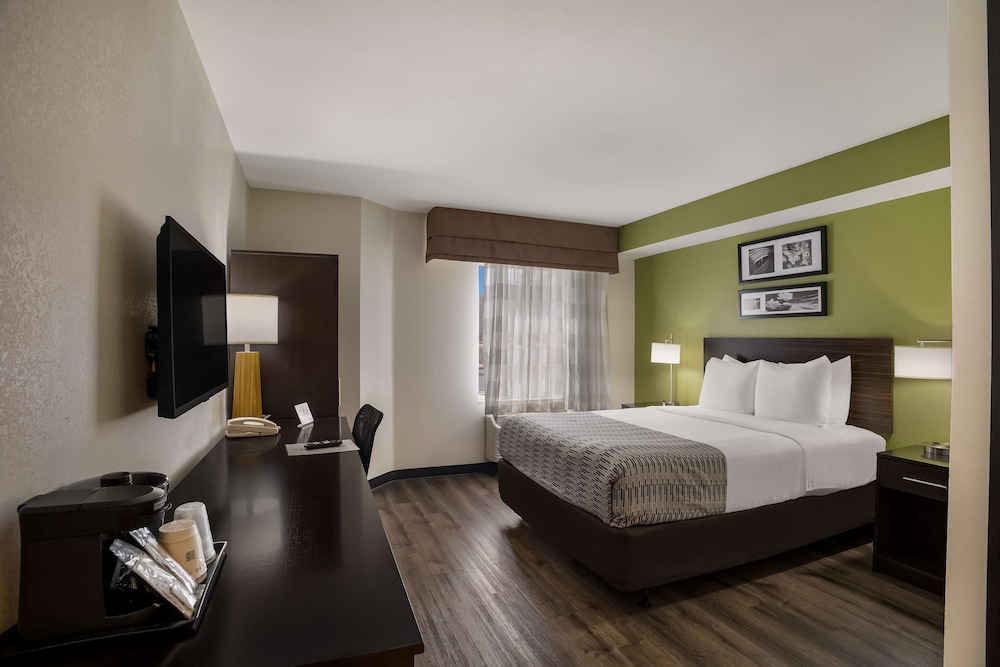 Standard Room, 1 Queen Bed, Accessible, Refrigerator & Microwave - Photo 9
