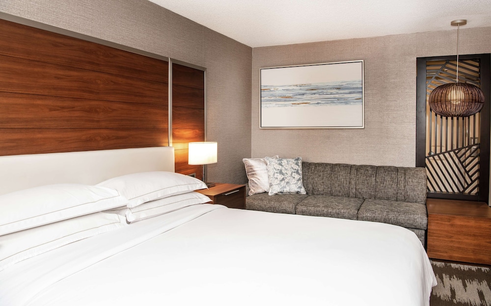 Suite, 1 King Bed, Allergy Friendly - Photo 4