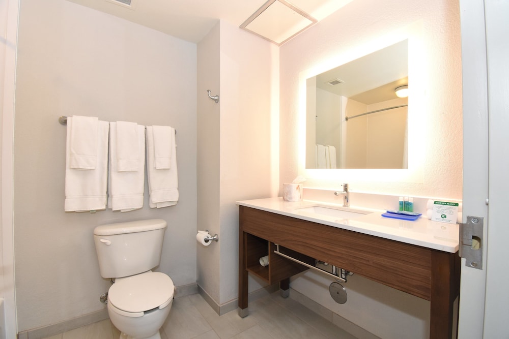 Standard Room, 1 King Bed, Accessible (Mobility, Roll-In Shower) photo 2