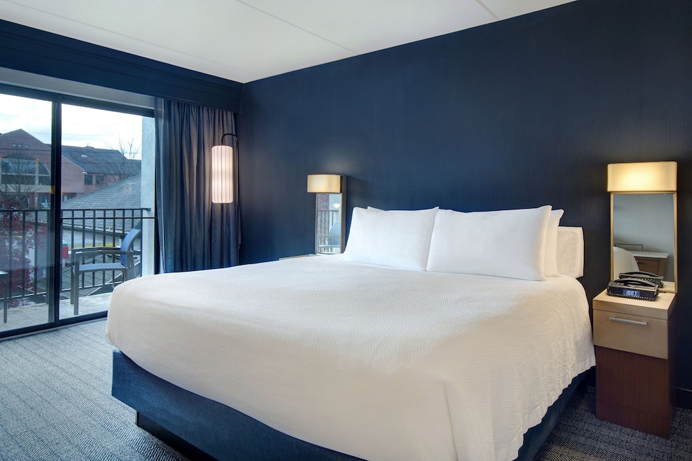 Room, 1 King Bed, Non Smoking photo 1