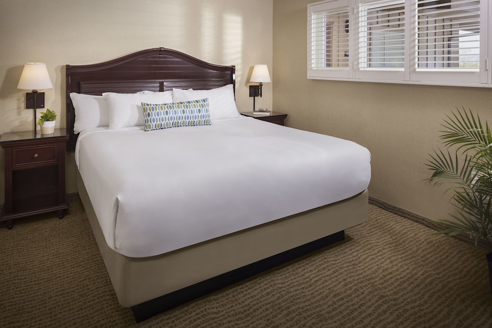 Suite, 1 King Bed, Bay View (Bay Front Suite King Connecting 1st F)