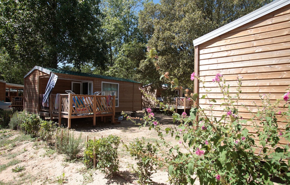 Mobile Home photo 3