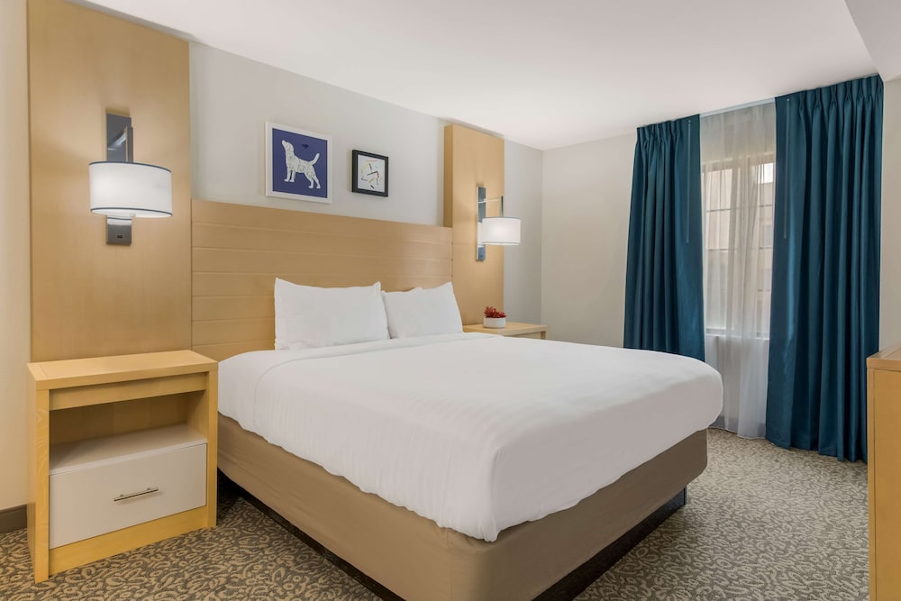 Room, 1 King Bed, Accessible (Roll-In Shower) photo 1