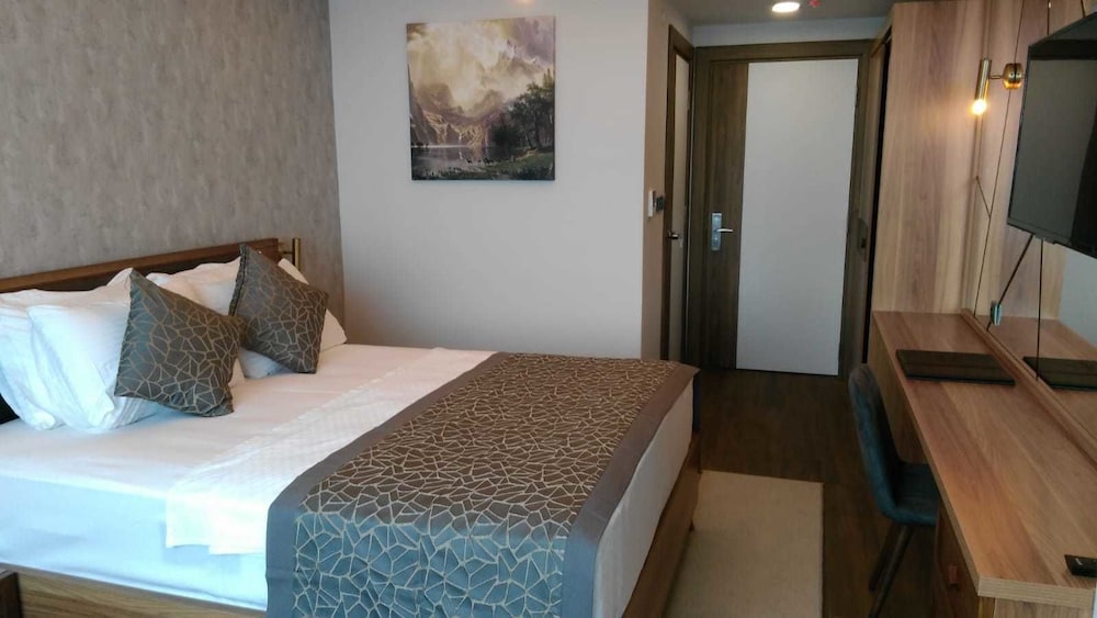 Standard Double Room Single Use photo 1