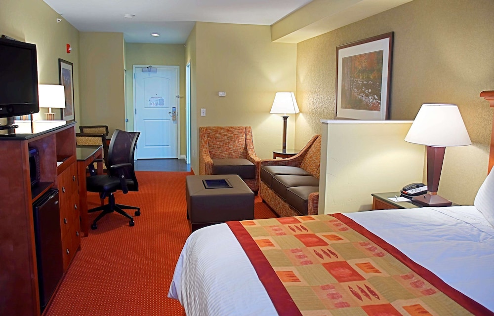 Suite, 1 King Bed, Non Smoking, Refrigerator & Microwave (with Sofabed) photo 2