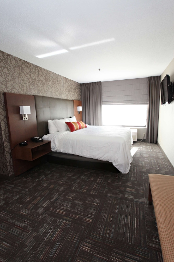 Suite, 1 King Bed, Non Smoking, Refrigerator - Photo 1