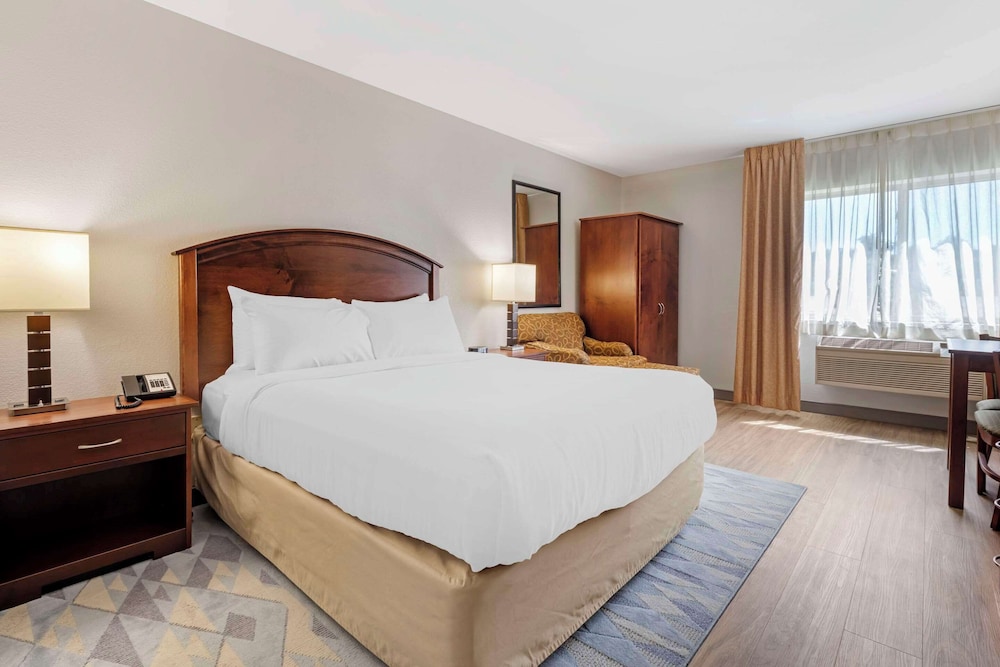Room, 1 Queen Bed, Accessible, Non Smoking (Roll-In Shower) - Photo 2