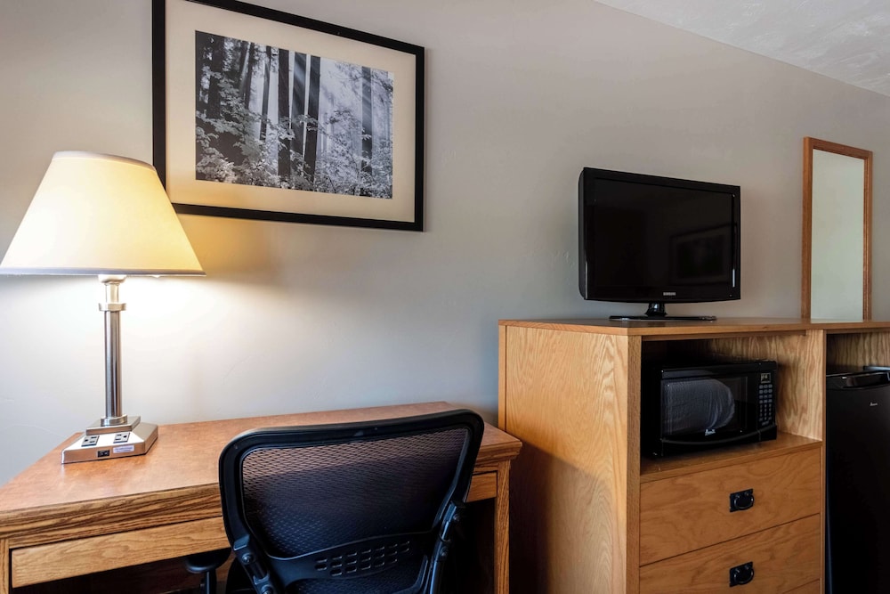 Suite, Multiple Beds, Non Smoking, Refrigerator & Microwave (with Sofabed) - Photo 8