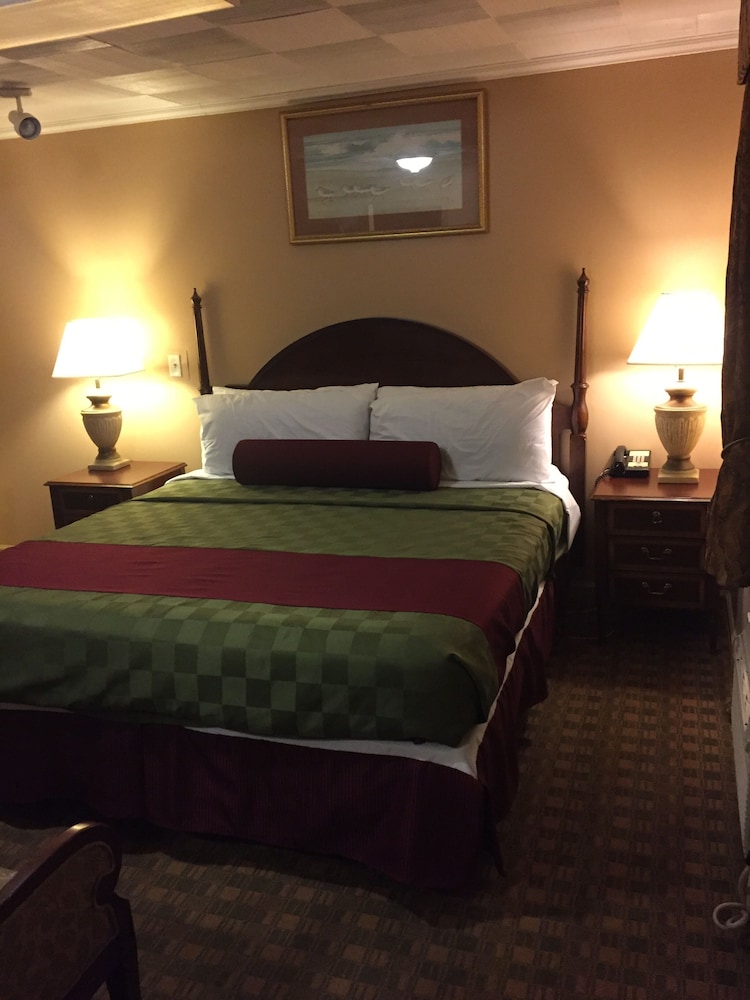 Room, 1 King Bed, Non Smoking photo 3
