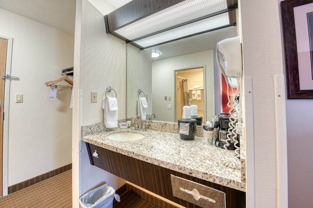 Basic Double Room, photo 7