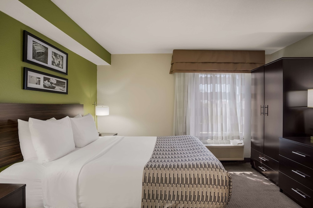 Standard Room, 1 Queen Bed, Accessible, Refrigerator & Microwave - Photo 11