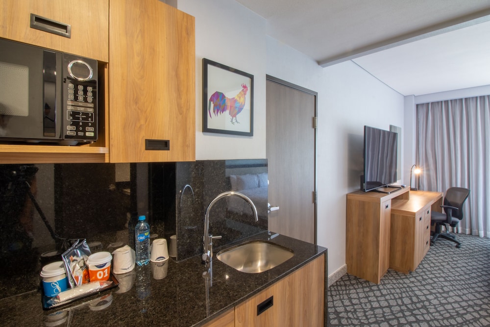 Business Room, 1 King Bed, Refrigerator & Microwave (Wet bar) - Photo 5