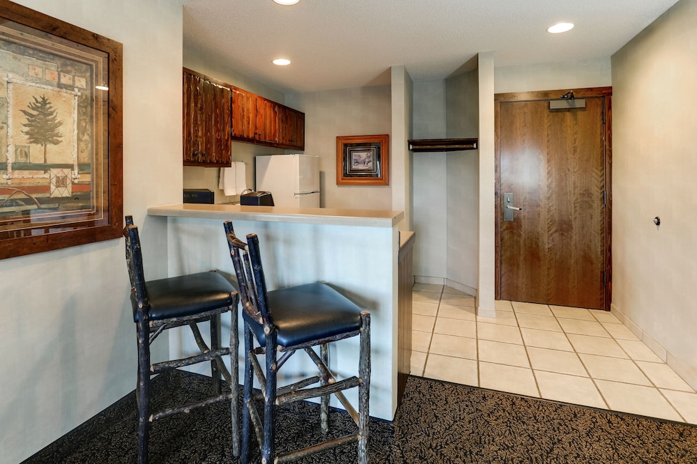 Theme Suite with Kitchenette photo 3