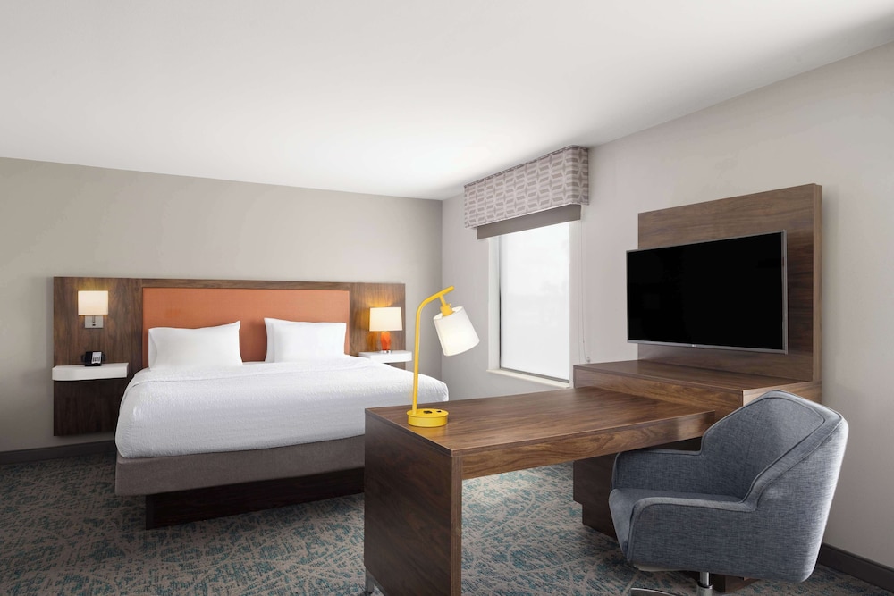 Standard Room, 1 King Bed with Sofa bed