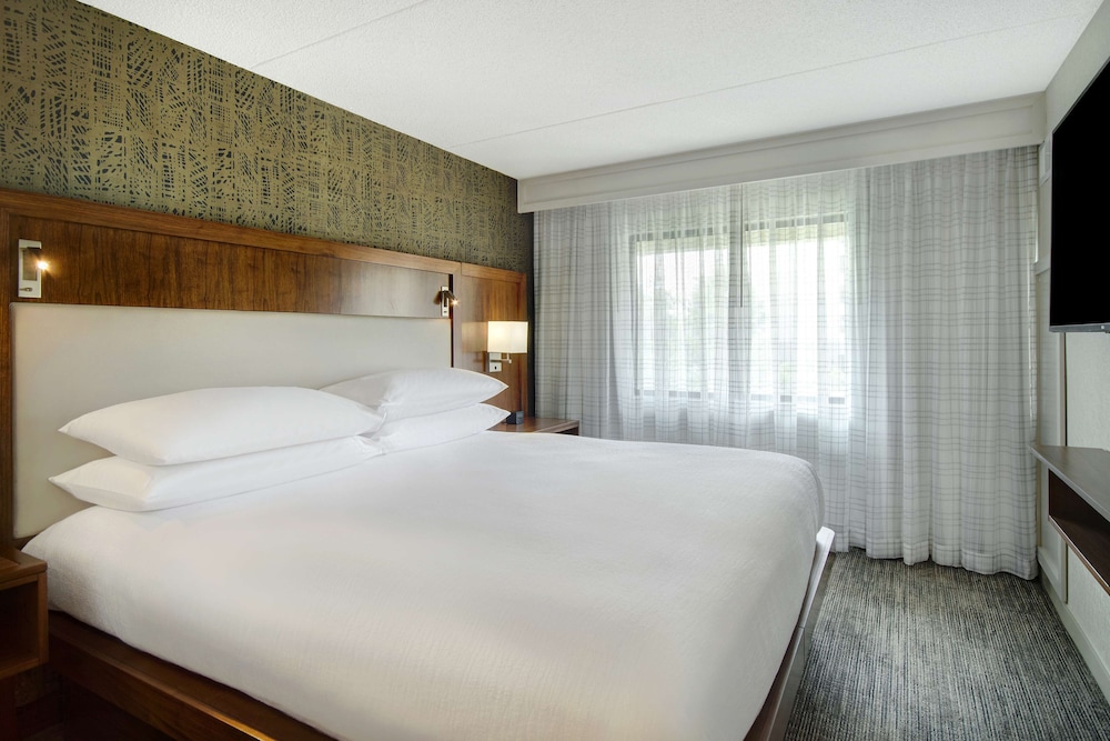 Suite, 1 King Bed, Accessible, Bathtub (Mobility & Hearing) photo 2