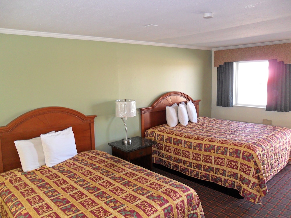 1 King , 1 Queen Room photo 3