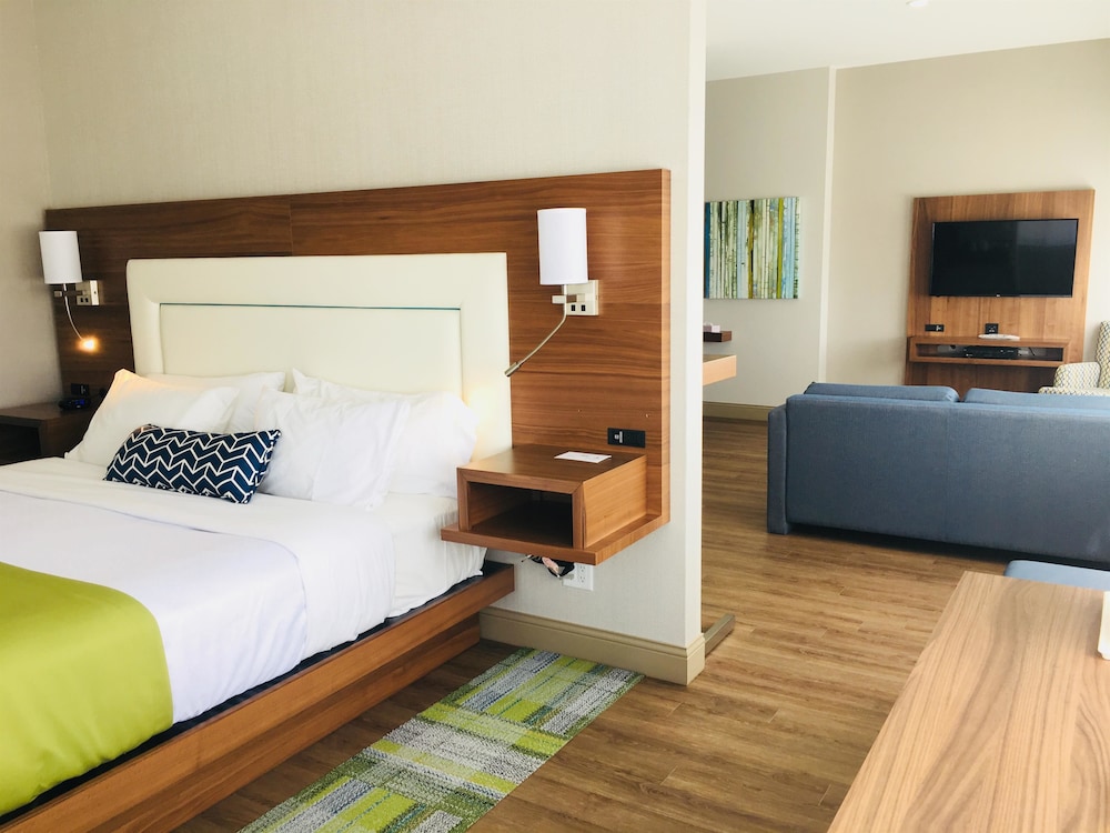 Suite, 1 King Bed, Non Smoking, Refrigerator (Living Room;with Sofabed)