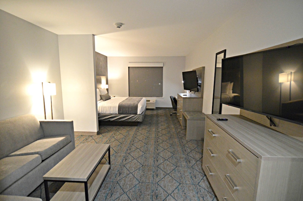 Suite, 1 King Bed, Non Smoking, Kitchenette (Shower Only;with Sofabed) - Photo 2